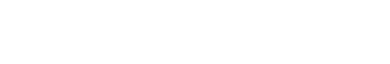 Zoothe wordmark